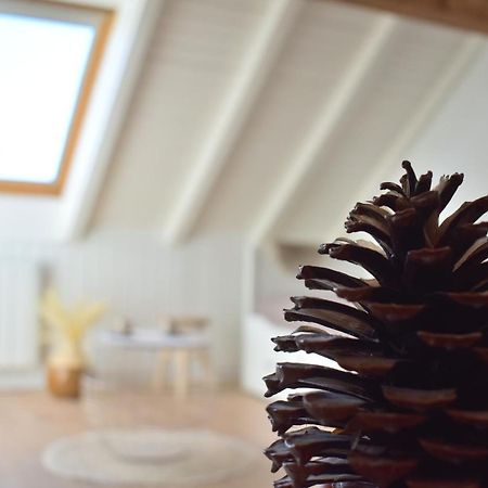 Bel Appartement Dans La Montagne, L'Oree Du Bois Mouthe Eksteriør billede